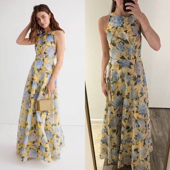 Sachin + Babi Dresses & Skirts - SACHIN & BABI Kate Floral Print Sleeveless Gown 10